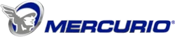 mercurio logo-car accesorios